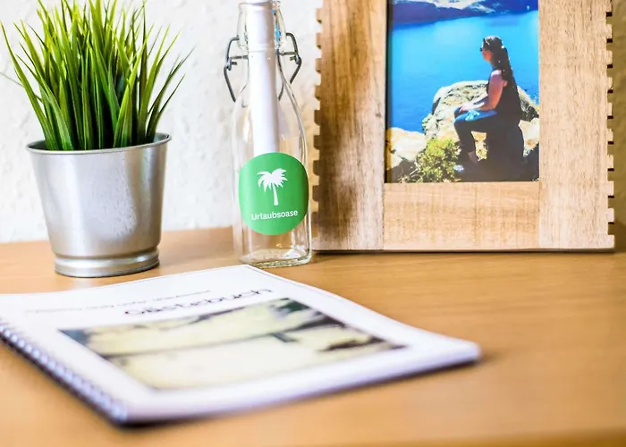 호텔 노보텔 시티 4*