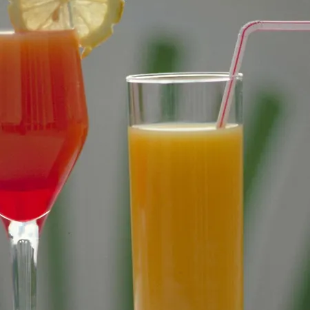 Novotel Frankfurt Hotel